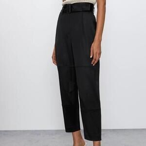 Aritzia Babaton Pleated Crop Satin Belted Trousers
